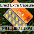 Erect Extra Capsule new05